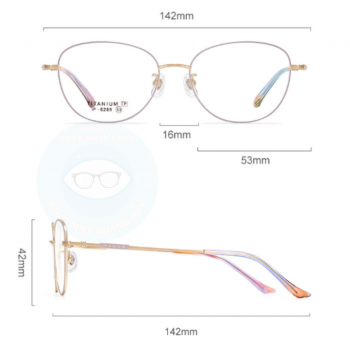 Gọng kim loại mã 6289